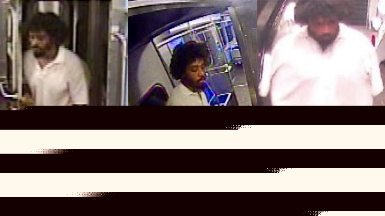 Suspect arrested for attempted sexual assault on CTA train in Evanston, police say