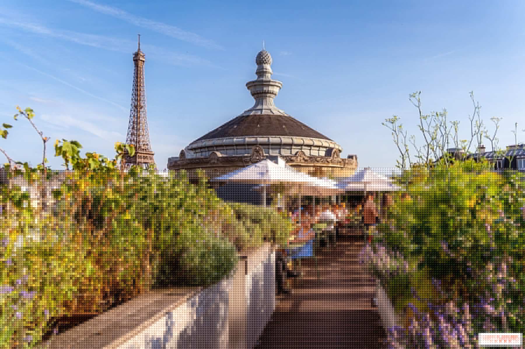 Terrasses et rooftops des musées et monuments à Paris en 2026, nos bonnes adresses culturelles