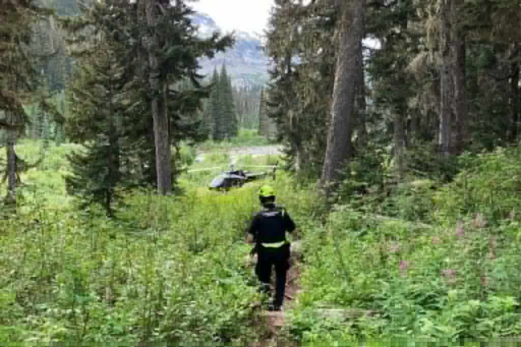 Man injured in grizzly bear attack near Pemberton