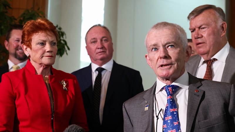 ‘At least I have brand recognition’: Malcolm Roberts hits back at criticism