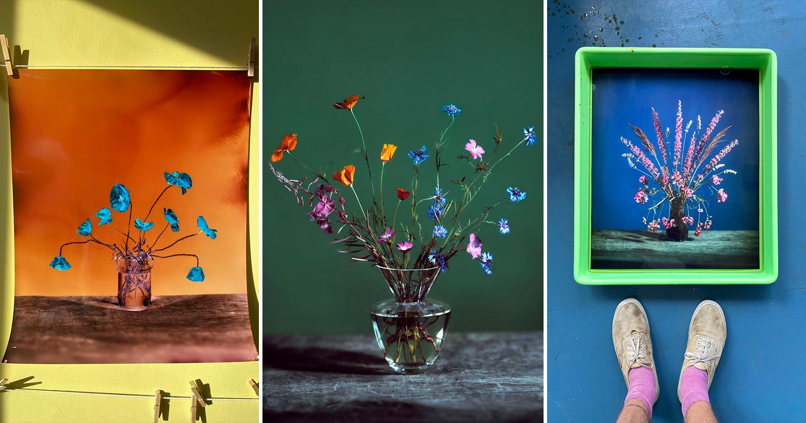 Photographer Captures Beautiful Wildflowers Using a Camera He Built