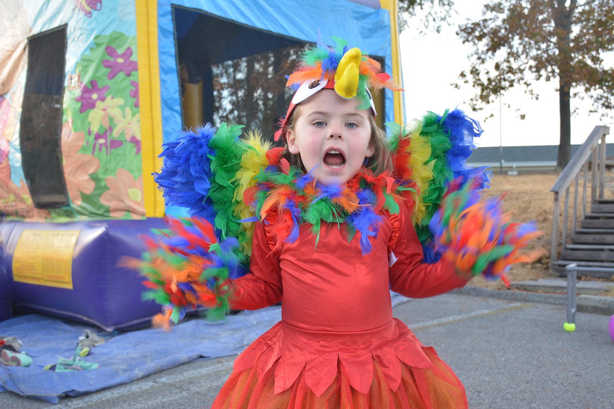 How to Halloween on 280: a local guide to making the most out of this fall season