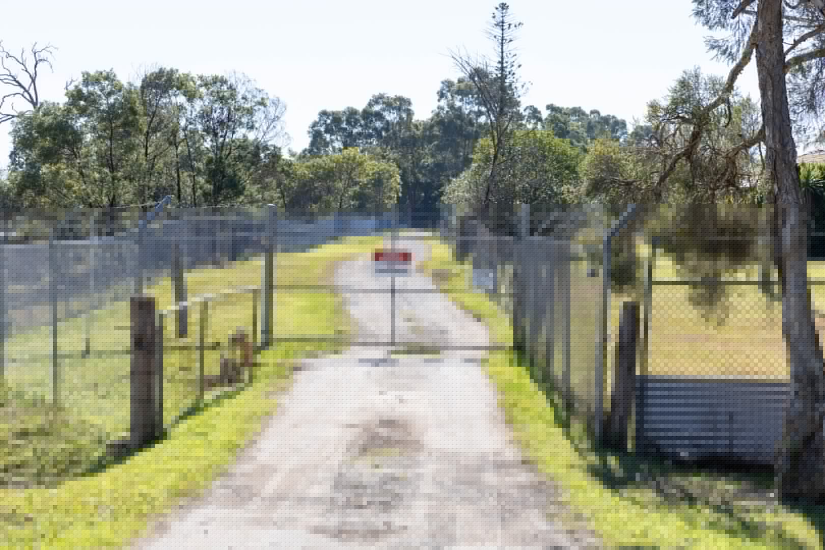 Monkey business: Questions raised over medical testing facility