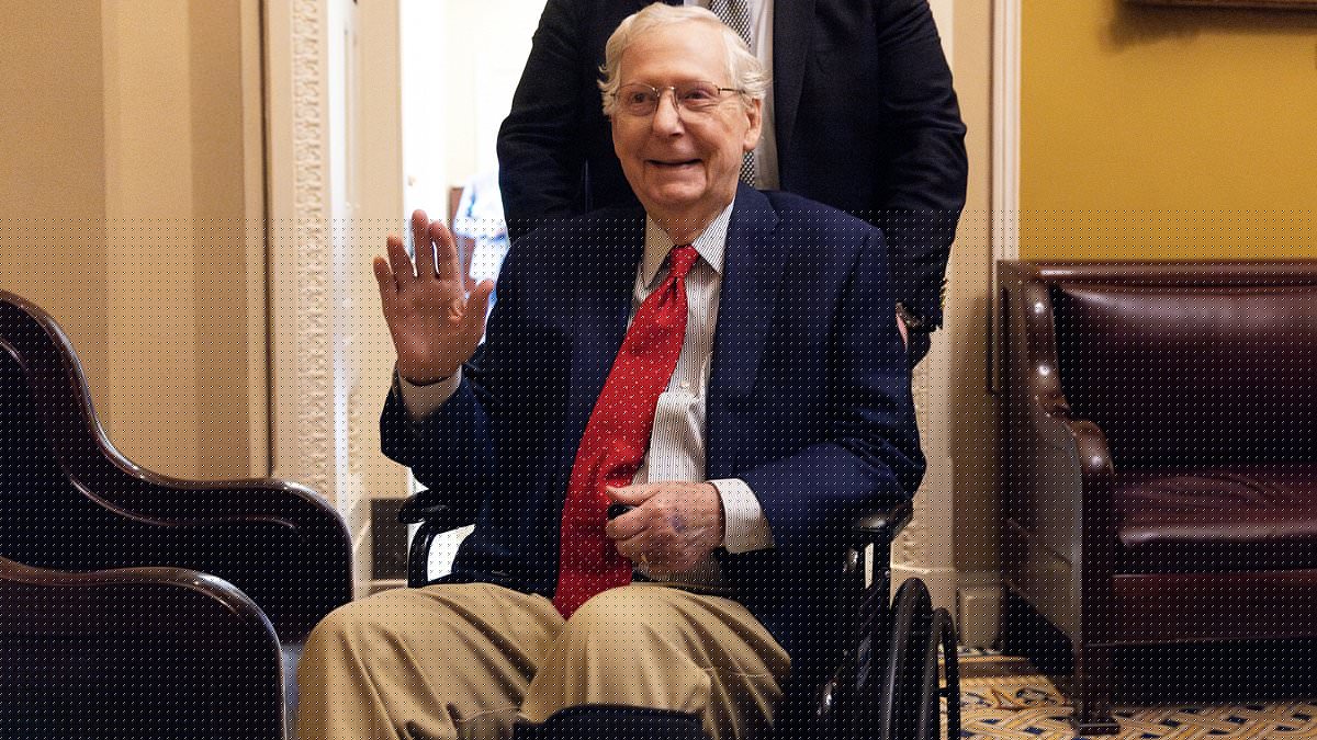 Mitch McConnell, 84, returns home after long hospitalization