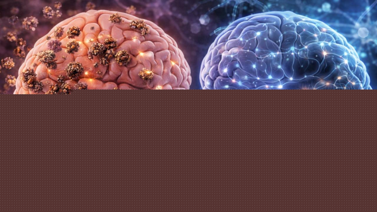 The mystery of fibromyalgia: when the brain amplifies ordinary sensations