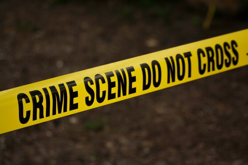 Suspect hands himself over after "accidentally" killing niece with stolen firearm