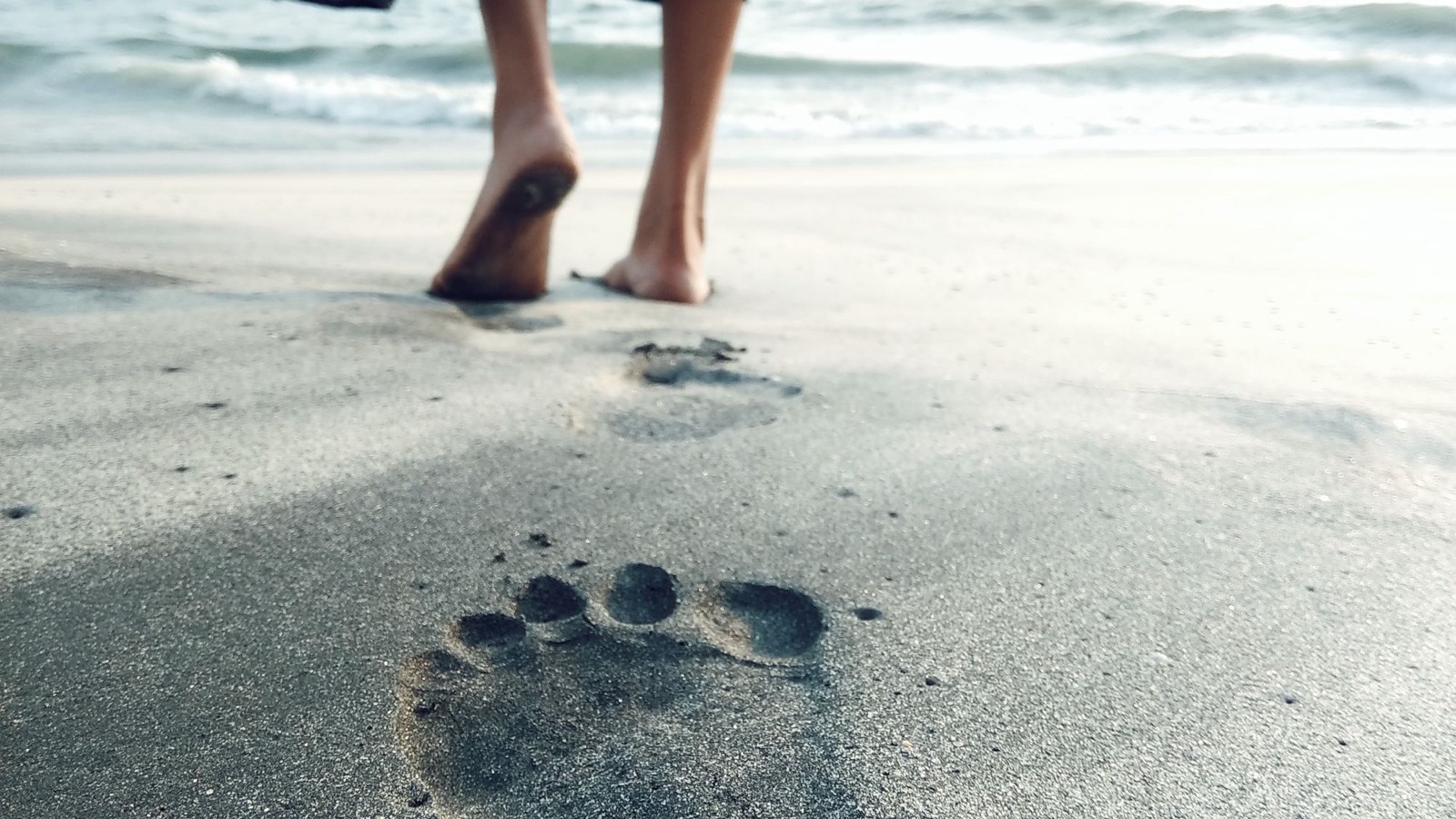 Walking on sand burns up to 2.5 times more energy than walking on pavement, which means a 30-minute barefoot beach stroll is a more effective workout than most people spending an hour at the gym