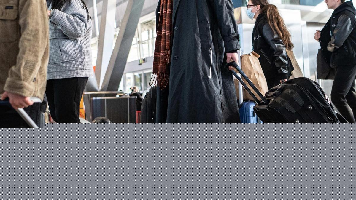 Sydney airport plunged into chaos by lack of air traffic controllers