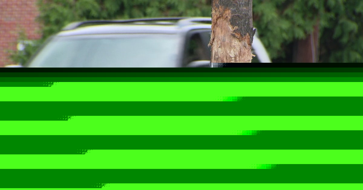 Driver killed after vehicle crashes into tree in Silver Spring