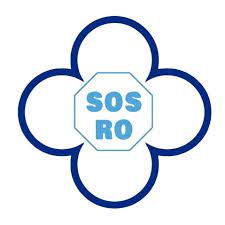 Partidul S.O.S. România deschide Academia de Vară 2026 – o platformă de formare a liderilor și de dezbateri privind viitorul României