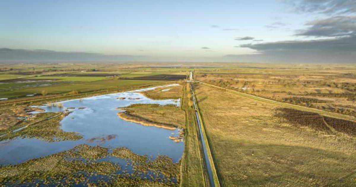 Barbeques banned at nature reserve near Ely after 'devastating' fire