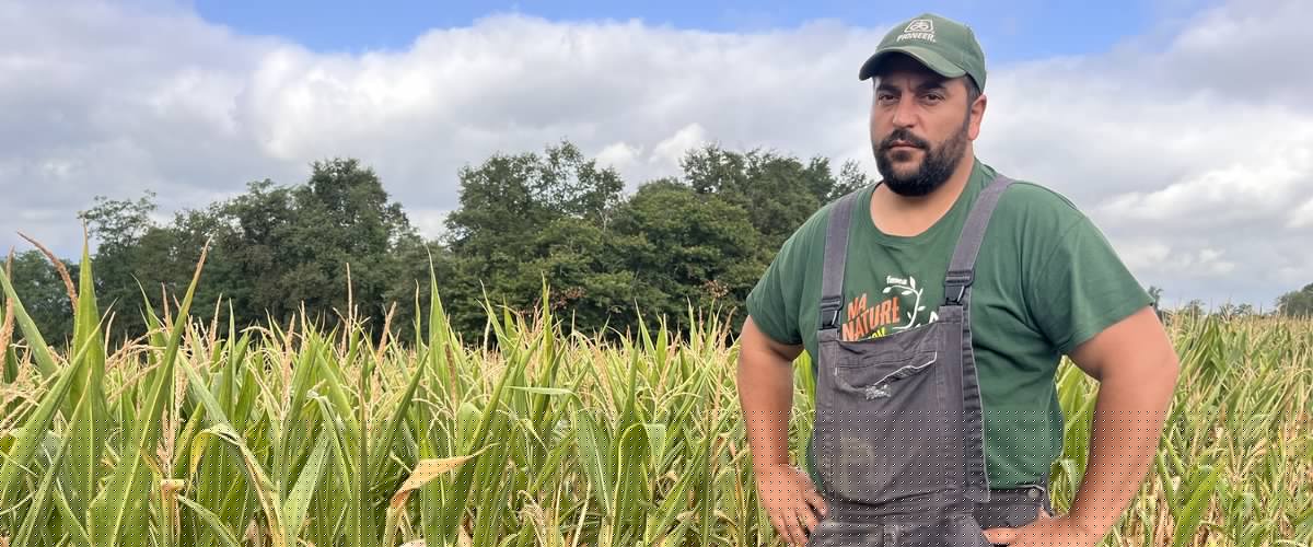 TÉMOIGNAGE. "Du jamais vu" : ce producteur de maïs est inquiet alors qu'il risque de perdre 80 % de sa production suite aux fortes chaleurs et au manque d'eau dans les Hautes-Pyrénées