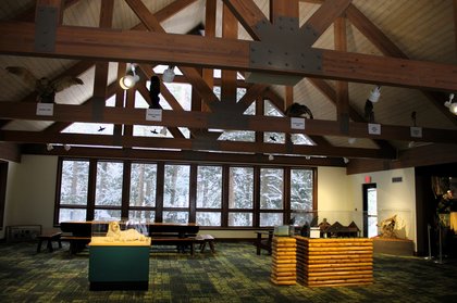 Among Michigan’s oldest trees is a refurbished visitor center reopening with a $1.25M facelift
