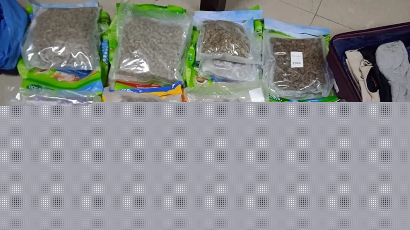 54 arrests in 90 days: Thailand, Vietnam drug routes under scanner at Kolkata airport