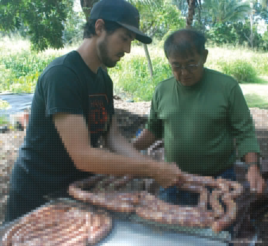 Comment on Homemade Portuguese Sausage by Ray