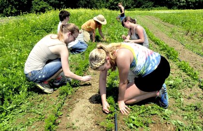 Trump administration denies appeal for Farmington Upward Bound funds