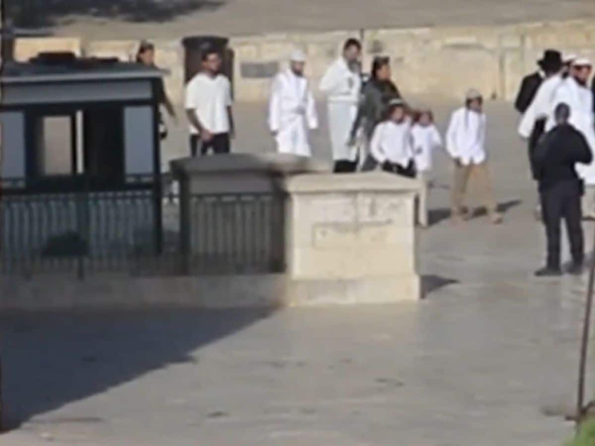 Zionist settlers storm Al-Aqsa Mosque under the armed protection of the IDF