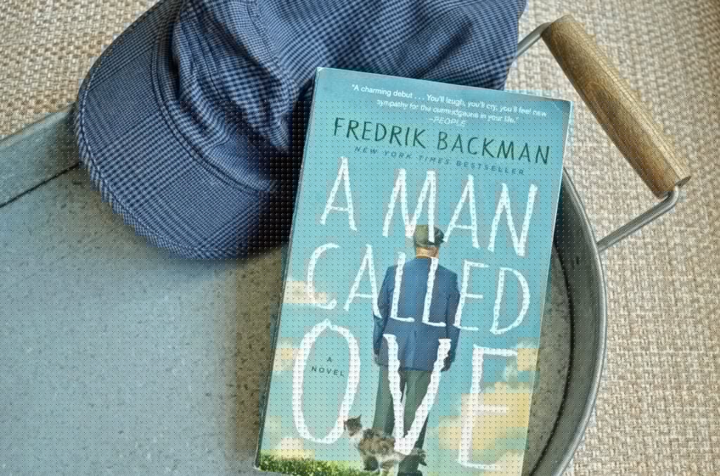 Comment on Books Like A Man Called Ove by MANASVI BATRA