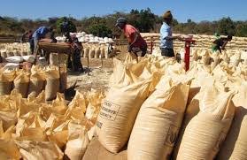 FRA depots bring relief To Lavushimanda maize farmers