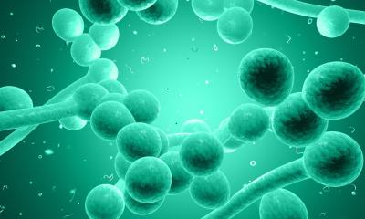 Putting β-glucan testing into everyday practice for fungal infections
