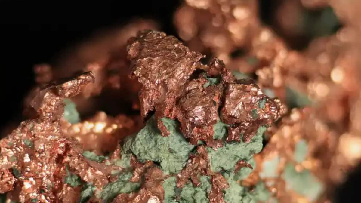 World faces copper shortage as AI data centres drive power demand: Survey