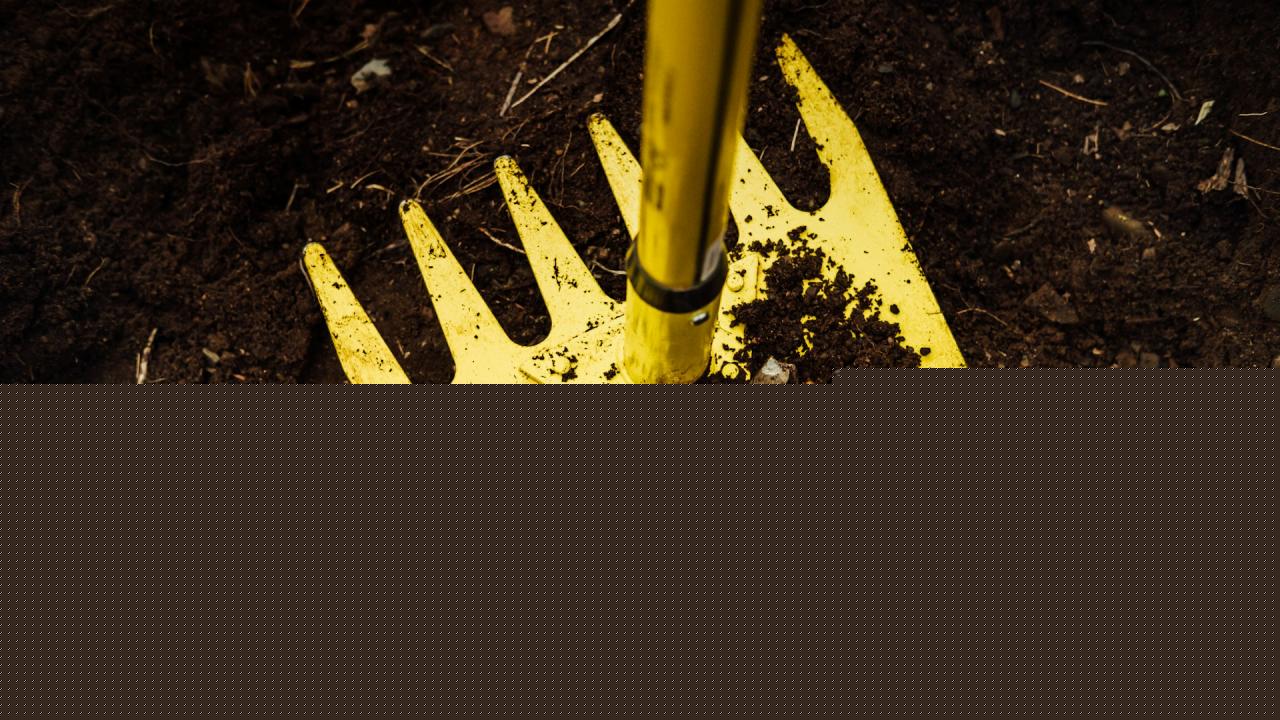 Plastic mulch failure: Soil suffocation exposed