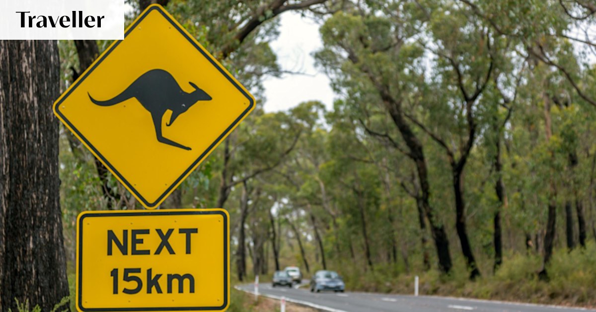 Romance scams, deadly wildlife: Foreign countries’ warnings for Australia