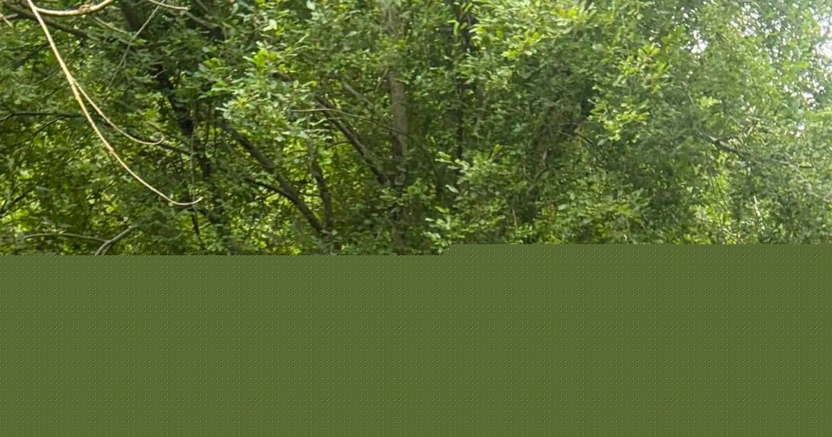 Ramblers visit scenic place where vision of the Virgin Mary was allegedly seen