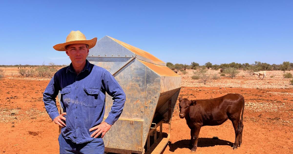'Crook as it's ever been': Gascoyne hit by third consecutive dry season