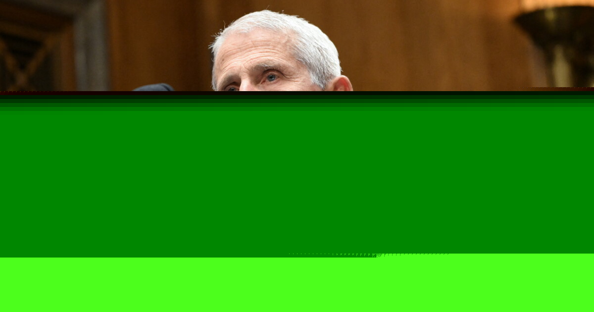 Anthony Fauci invokes Fifth Amendment in Rand Paul Senate hearing