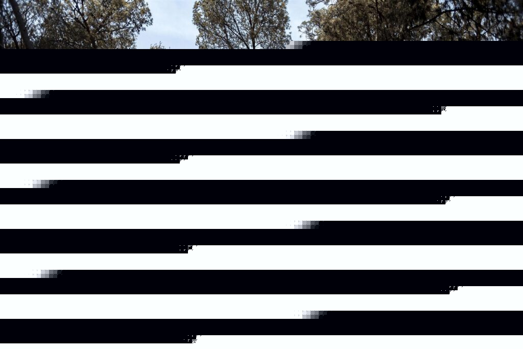 “Treballem com fa 30 anys amb incendis del segle XXI”: la denúncia dels bombers forestals del País Valencià