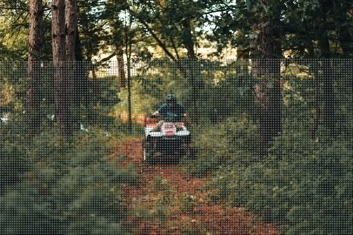 ATV Road Crossing Rules In Massachusetts Explained