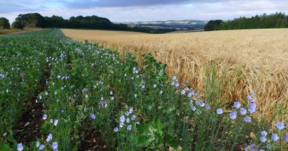 Thousands of farmers facing uncertainty as Countryside Stewardship agreements expire