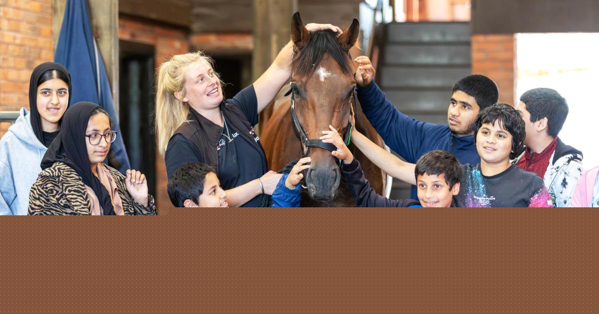 Free family adventures await as National Racehorse Week returns this month