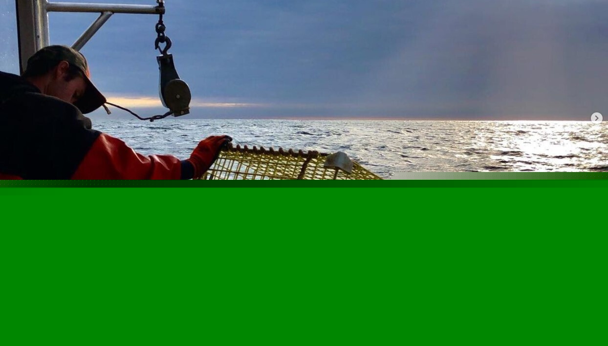 Gulf of Maine warming has slowed but important fisheries still vulnerable, warns NOAA report