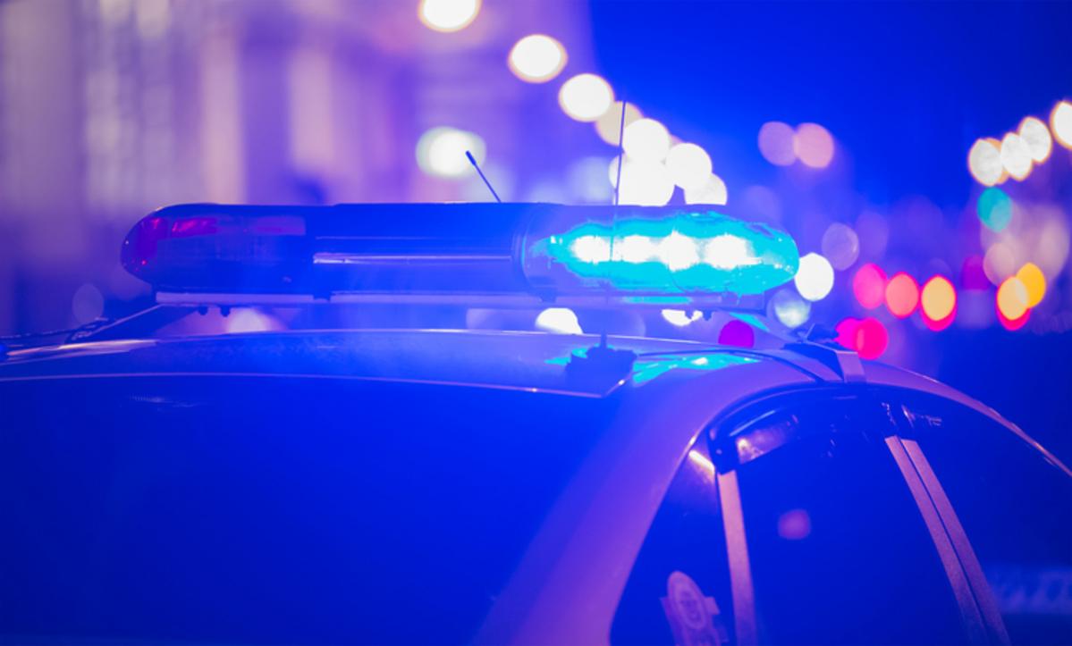 Man Pleads Guilty to Murdering 2 Adults in Front of Kids in Maine