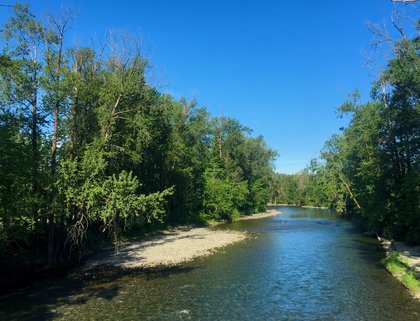 Cowichan River vies for top contender on endangered rivers list