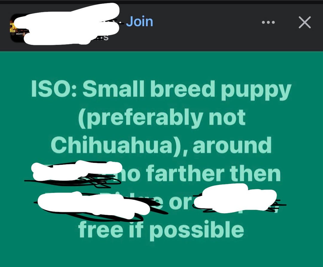 /r/ChoosingBeggars / Choosing Beggars - Give me a puppy