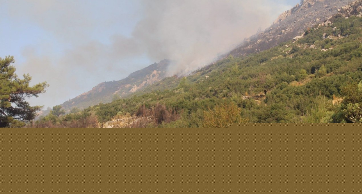 Flakët përfshijnë edhe Turqinë, zjarr i madh pyjor në Antalia! Në aksion avionë, helikopterë dhe mbi 130 zjarrfikës