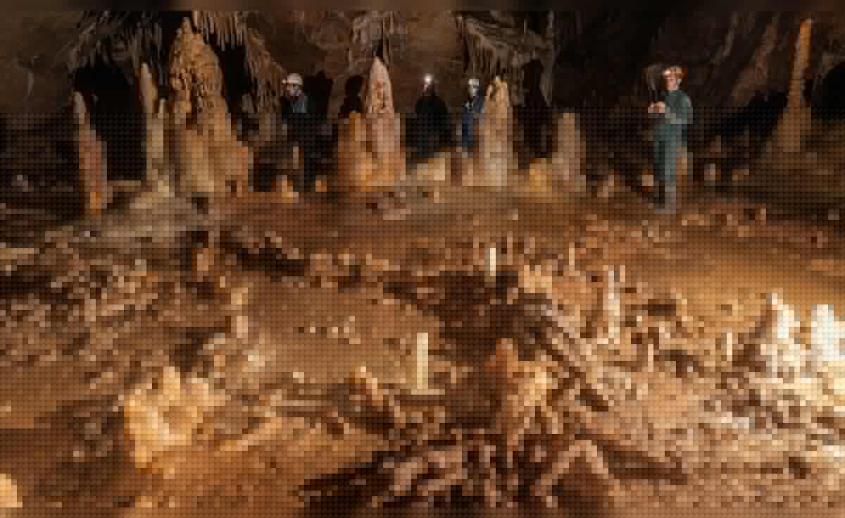 Hace 176.500 años, los neandertales construyeron un misterioso círculo de estalagmitas en una cueva y el hallazgo cambia lo que se creía sobre sus capacidades