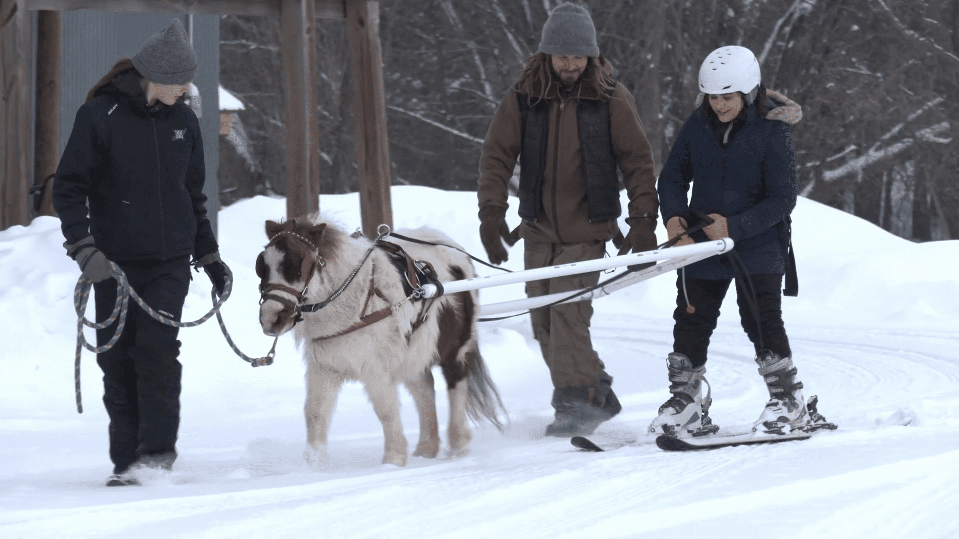 Ponying up for a different style of skijoring