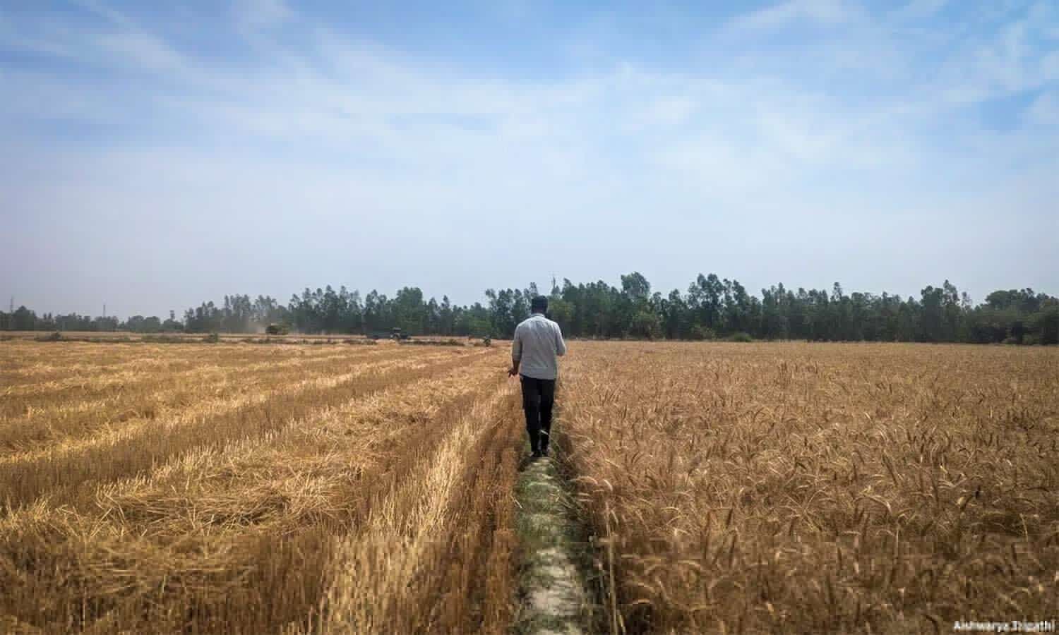 Why Farmers Need To See The Money To Stay In Carbon Farming