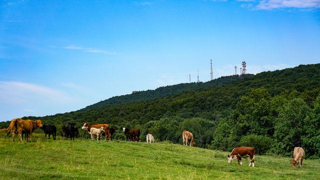 Local lawmaker says Sawnee Mountain will not be renamed despite state representative doubling down on resolution