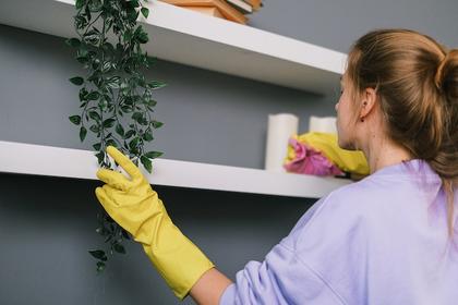 Protecting Your Rental Property from Tenant Damage