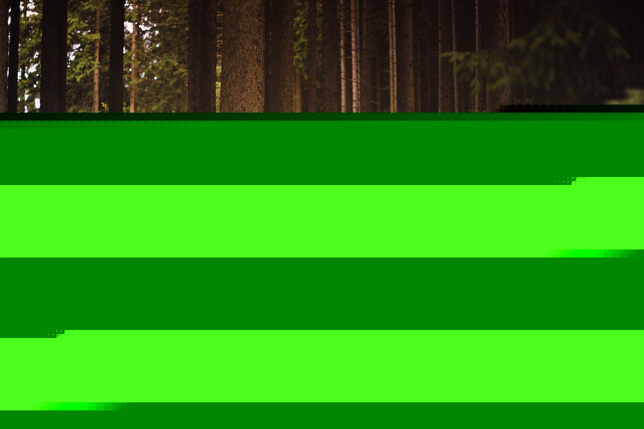 Comment on Forestry management benefits landowners by Austin Texas Land Clearing Services