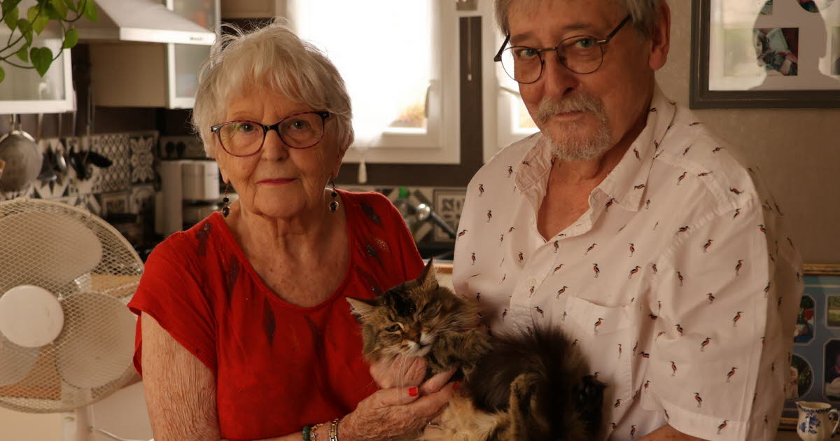 Dijon. Un « coup de fil miraculeux » : ils ont retrouvé leur chatte Grignette après deux ans de disparition !
