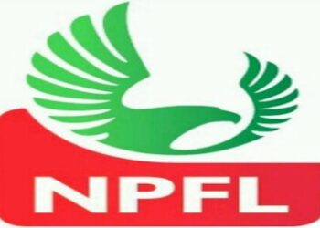 NPFL: Corruption, lack of infrastructure bedeviling Nigerian league – Gara Gombe