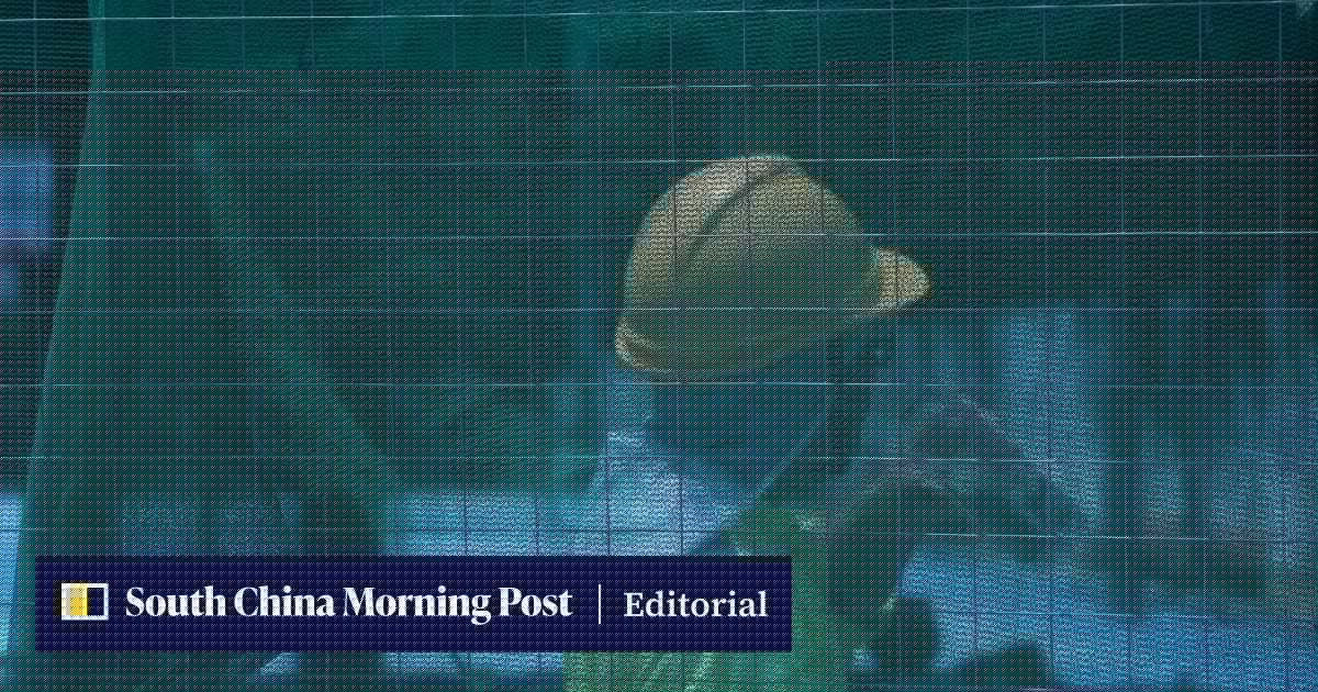 Hong Kong must act fast to protect workers from heat distress