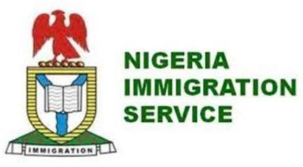 NIS Deploys Passport Intervention Team To UK As Applications Surge