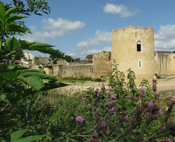 Journées du Patrimoine 2026 au Château de Brie-Comte-Robert (77), le programme du week-end